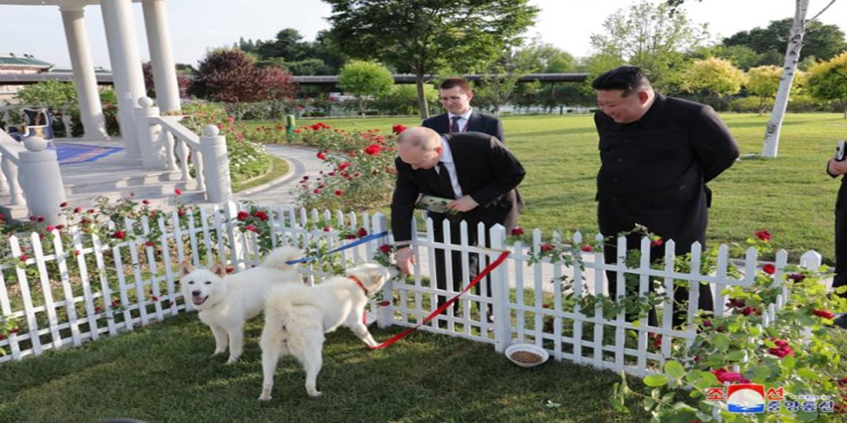 Kim Jong Un gifts Putin two Pungsan hunting dogs