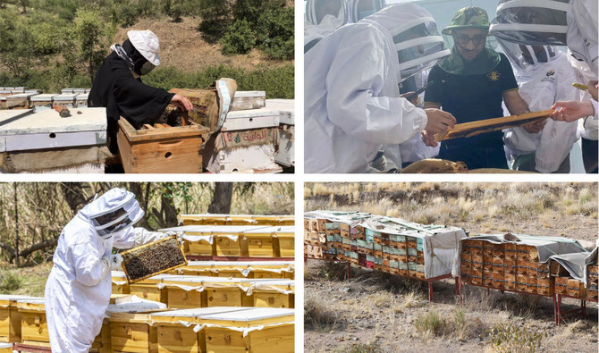 How Saudi Arabia is creating a buzz around beekeeping
