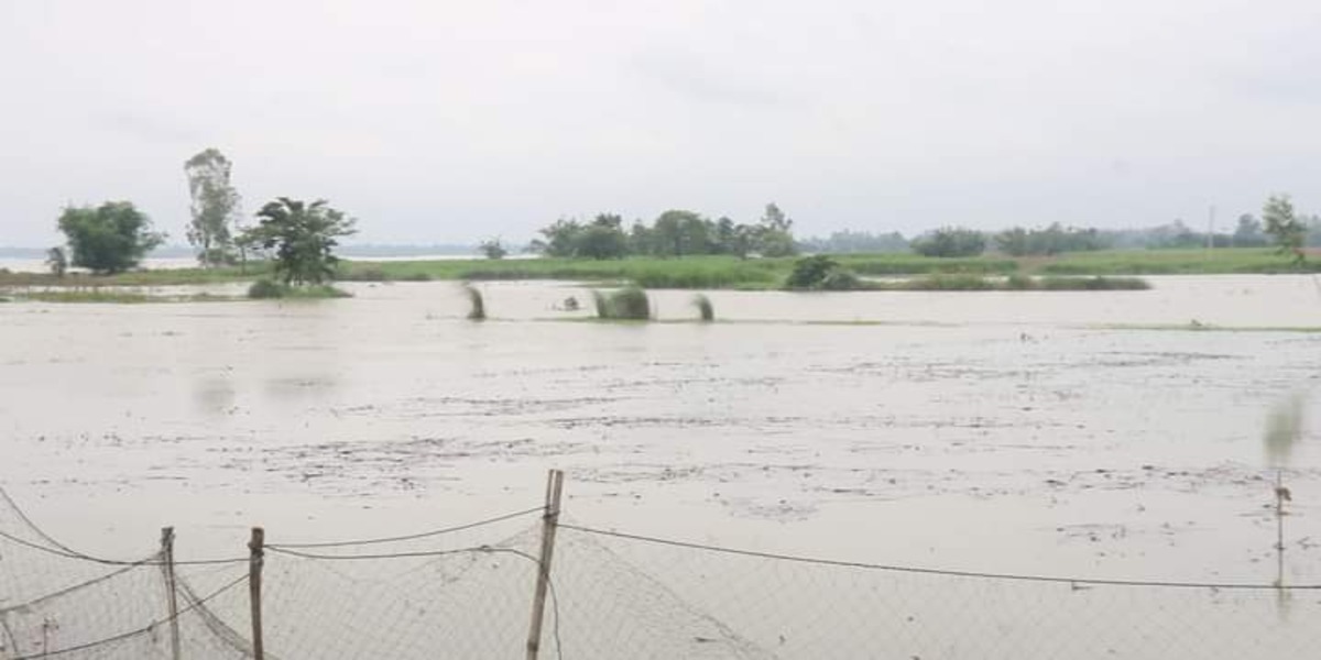 Over 2000 families inundated in Lalmonirhat