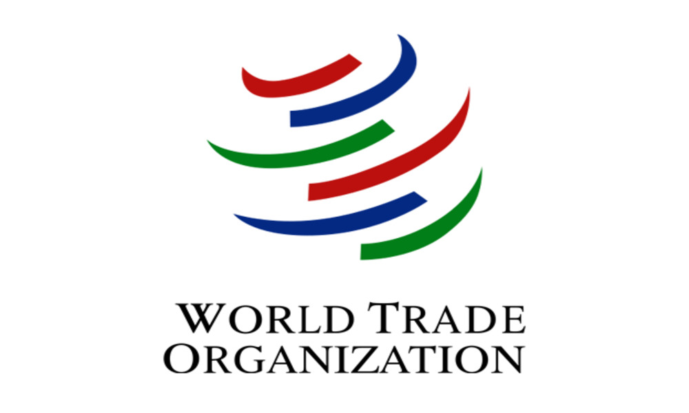 


WTO DG looks forward to “working closely” with Prof Yunus 