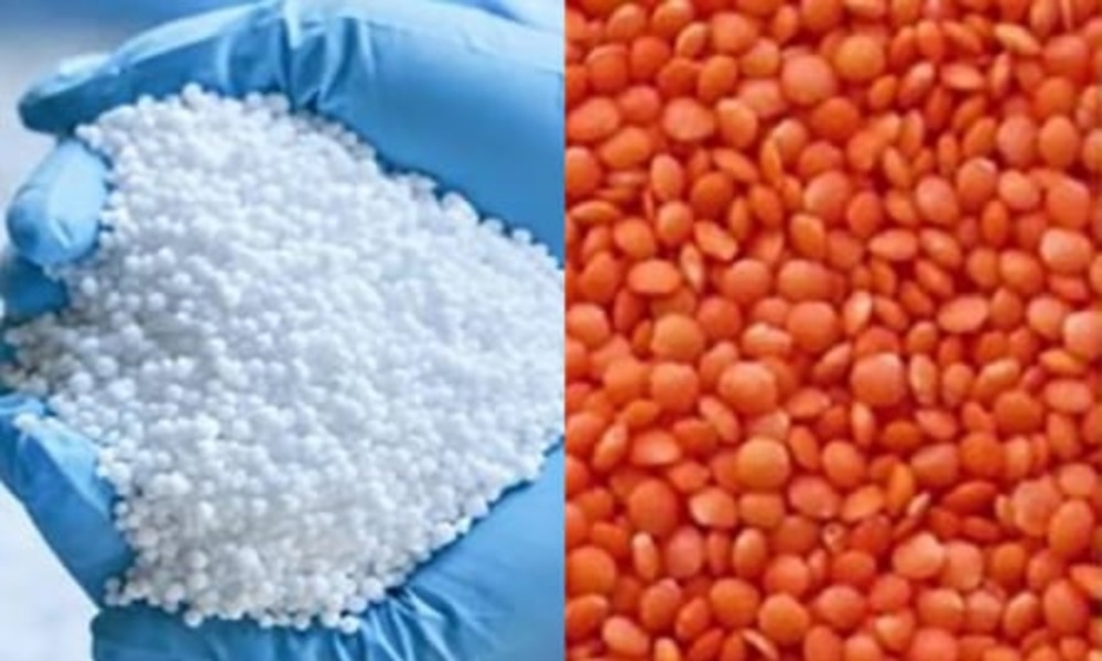 Govt to procure 90,000 mts of fertilizer, 20,000 mts of lentil
