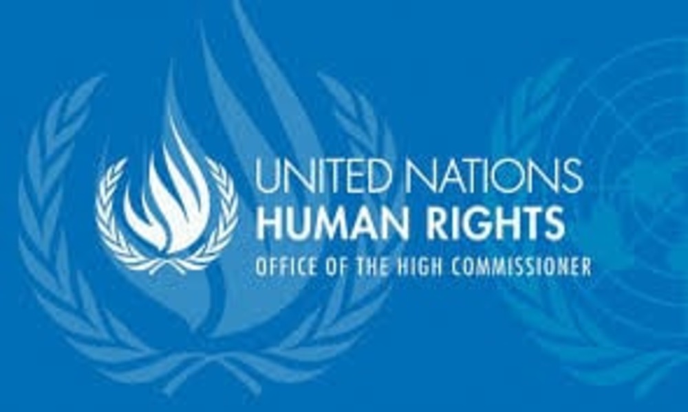 UN fact-finders want evidence of rights violations in Jul, Aug