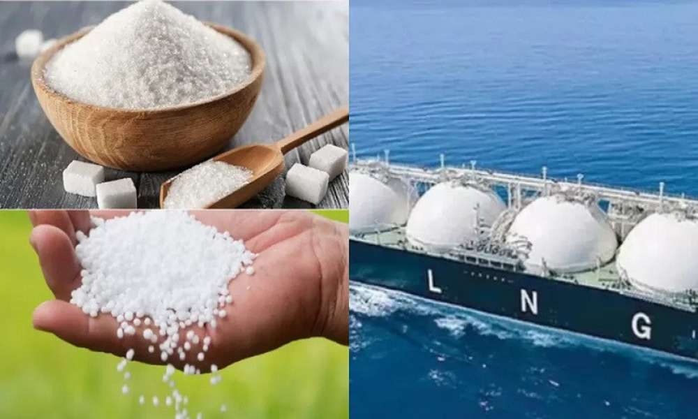 Govt approves LNG import, 4 other products