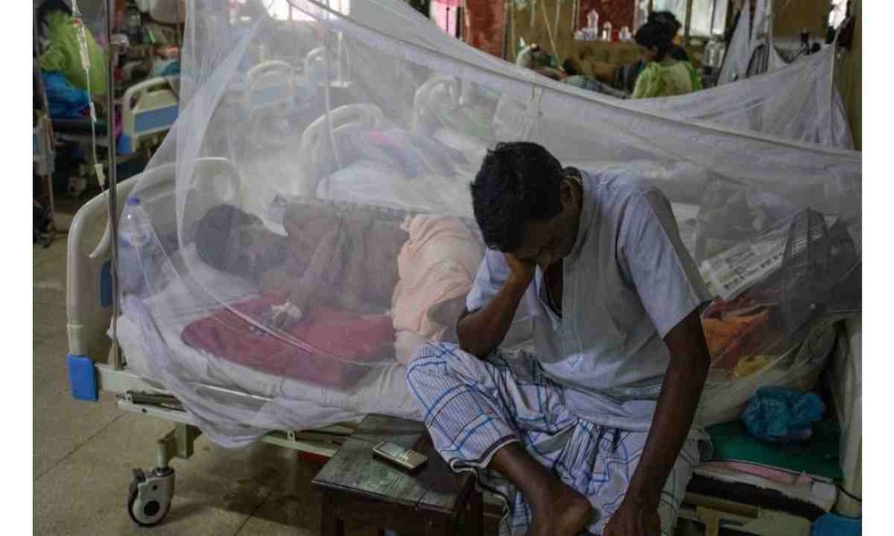 Dengue claims six more lives; 1370 hospitalised in 24hrs