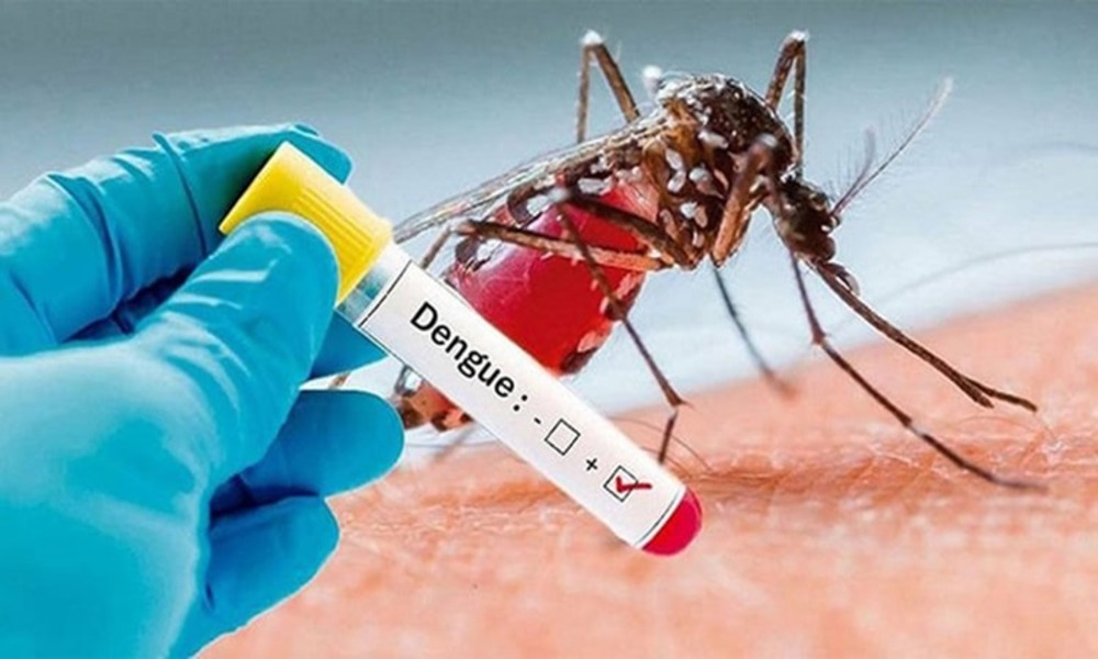 Dengue: 5 more die, 1034 hospitalised