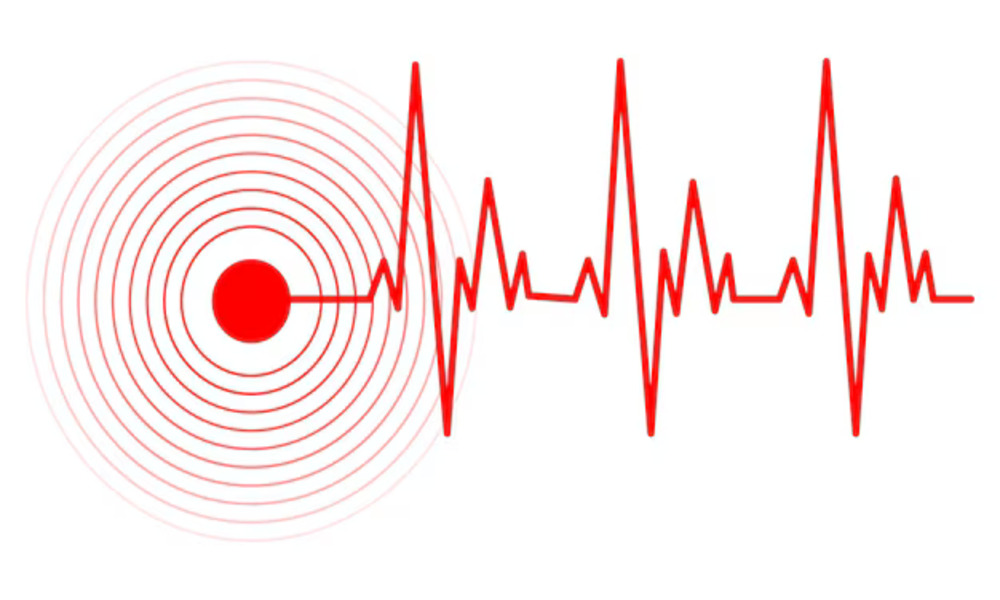 5.0 magnitude earthquake jolts Dhaka, Sylhet